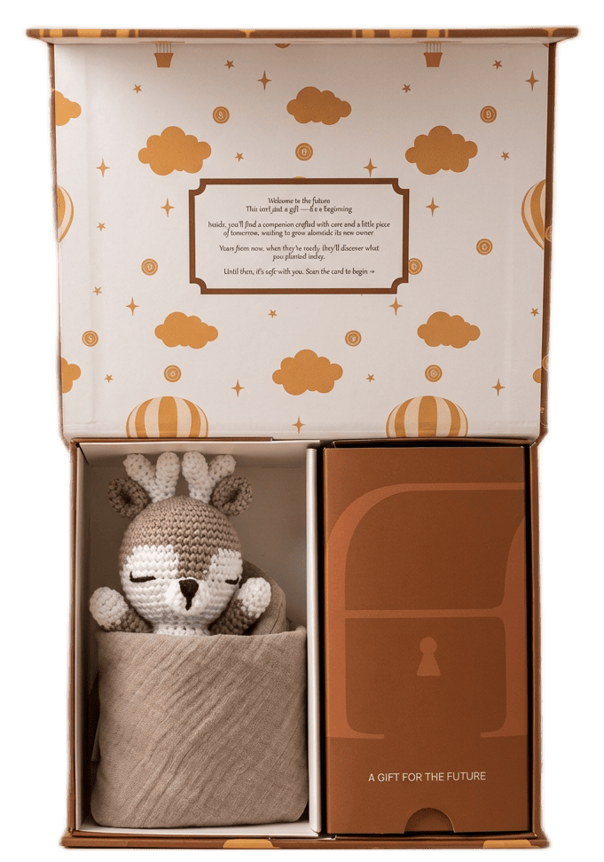 Coffer gift box with a metal card for gifting cryptocurrencies to a newborn