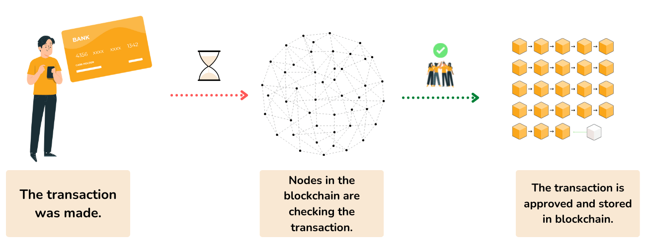 The infographic explains the timeline of making a transaction through the blockchain network. 